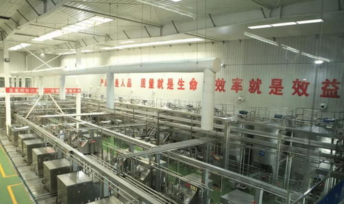 中国饮料界的超级单品 年销40亿罐，铸就百亿餐饮服务帝国